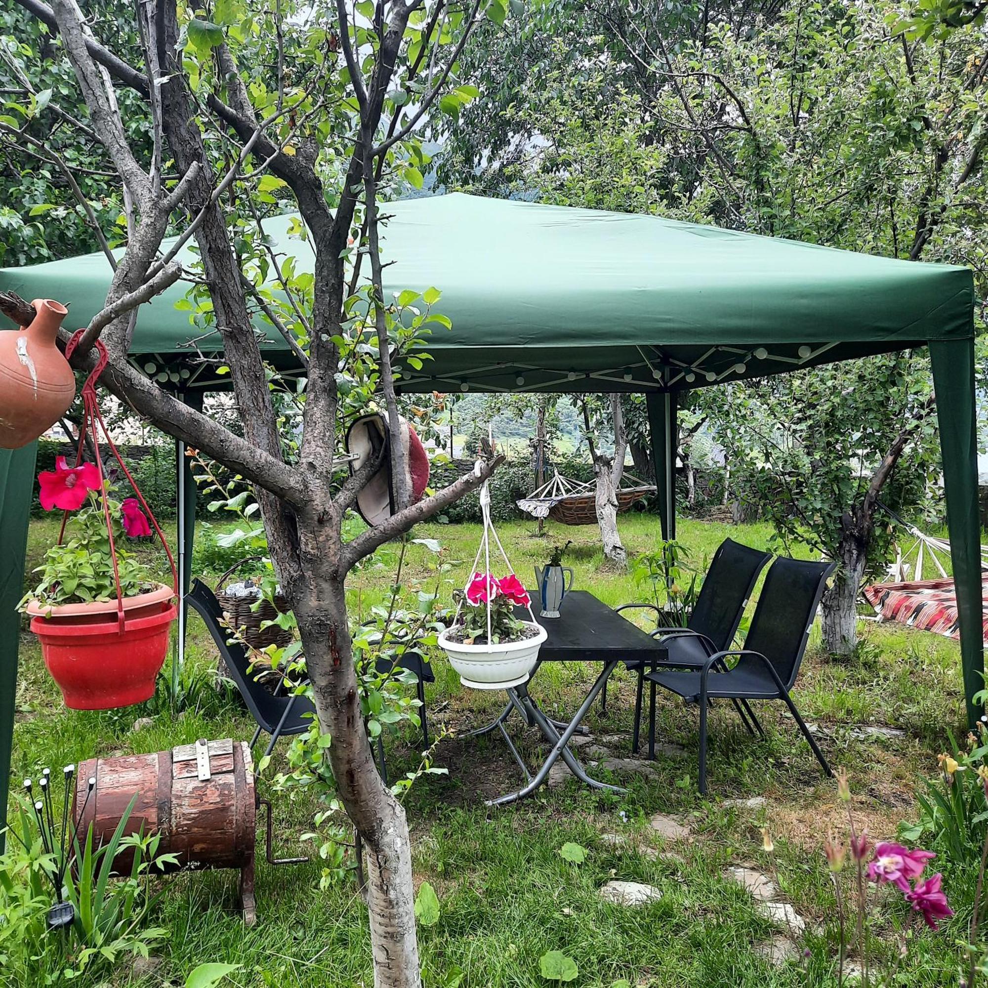 Hotel Gio-Nika Kazbegi Esterno foto