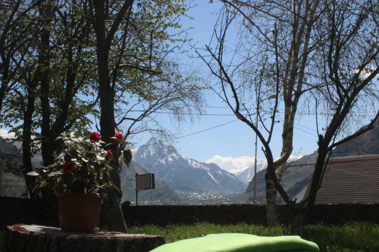 Hotel Gio-Nika Kazbegi Esterno foto