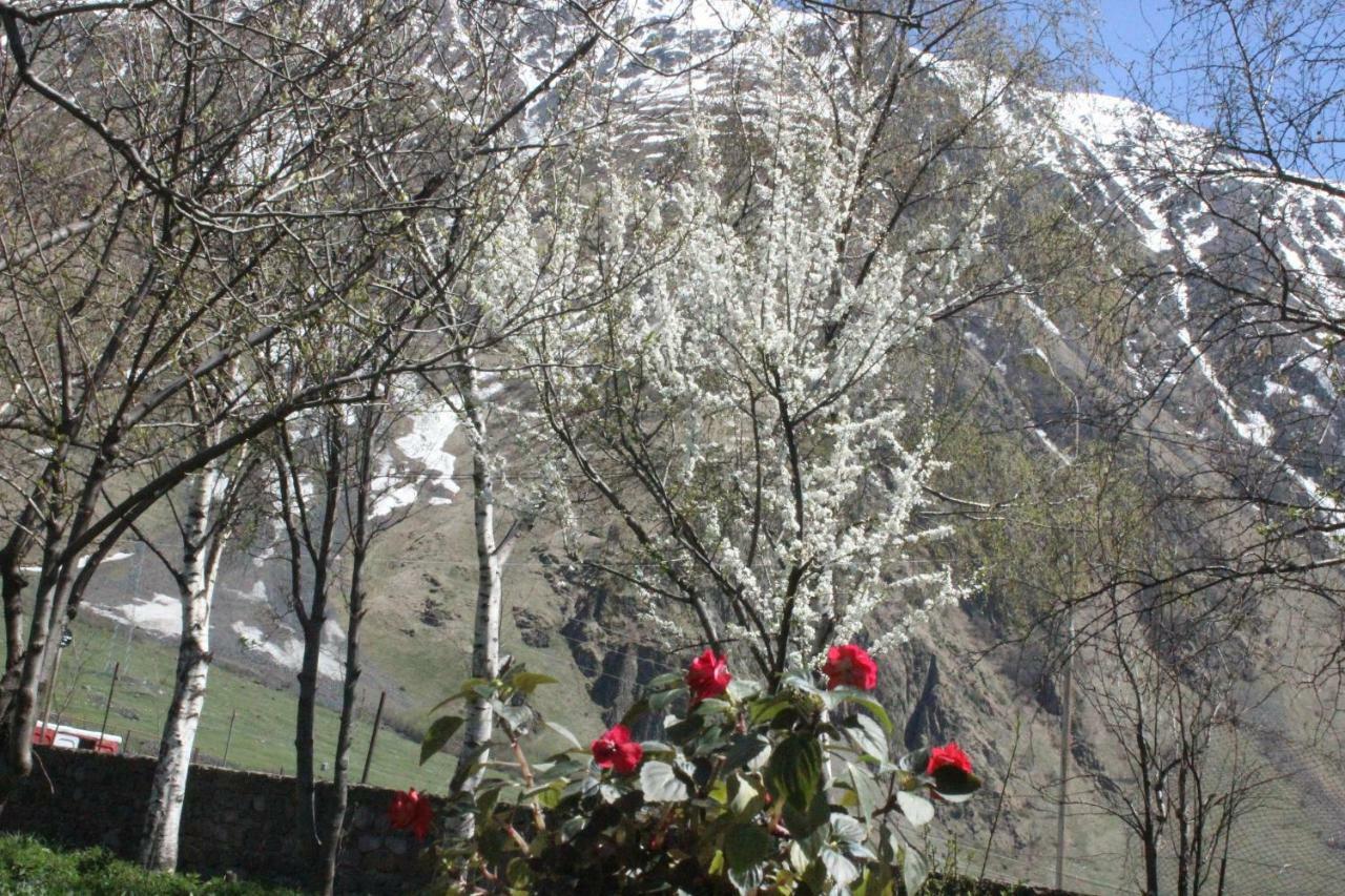 Hotel Gio-Nika Kazbegi Esterno foto
